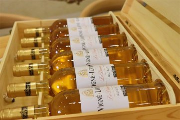 做紅酒生意起步資金需多少呢