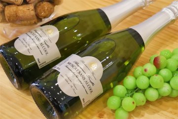 酒業加盟連鎖的市場怎么樣